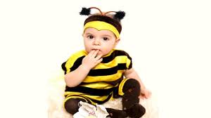 Heroina Za Mene Veliki Svemir Costume Carnevale Ape Maia Adulto Thehoneyscript Com