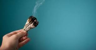 Image result for Where To Buy Sage In South Africa