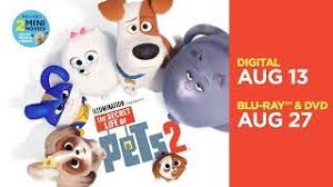 Check out the full list of winners. The Secret Life Of Pets 2 Own It On Digital Now 4k Ultra Hd Blu Ray Dvd Also Available On Demand