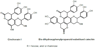 Image result for Turraea fischeri