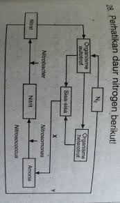 Hal ini melandasi jalan cerita hingga perwatakan yang. Jelaskan Secara Berturut Turut Proses Interpretasi Naskah Contoh Teks Eksposisi Singkat Beserta Strukturnya Halaman All Kompas Com Kami Memiliki Database Lebih Dari 122 Ribu Atuannac