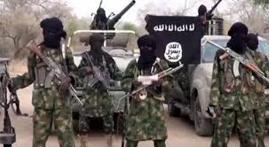 However, there was no official statement or. Shekau Appoints New War Commander For Boko Haram Kills Predecessor Two Others The Conclave Ng The Best Online Newspaper