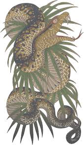 The men of wa (japan) tattoo their faces and paint their bodies with designs. Snake Tattoo Png C Am Rikiya Tatoo Di Yakuza Game Tattoo Designs 575141 Vippng