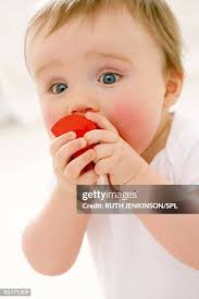 29 Ruth Stout Stock Photos, High-Res Pictures, and Images