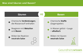 Basenreiche Ernahrung Funktion Vor Nachteile Rezepte