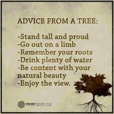 Some of the youngin's been sayin' your pup stood tall with a snitchin' boy. Advice From A Tree Stand Tall And Proud Go Out On A Limb Remember Your Roots Drink Plenty Of Water Be Content With Your Natural Beauty 101 Quotes