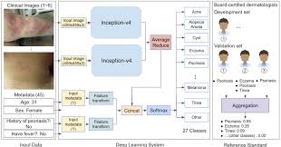 Skin dermatitis is an umbrella term describing inflammation of the skin. Google Ai Blog Using Deep Learning To Inform Differential Diagnoses Of Skin Diseases