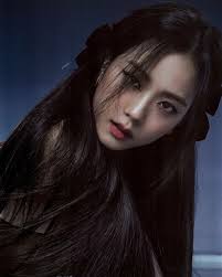 Blackpink Jisoo How You Like That Special Edition Photobook Blackpink Jisoo Blackpink Black Pink Kpop