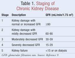Diabetes (sugar in the blood) 2. Chronic Kidney Disease And Hypertension A Destructive Combination