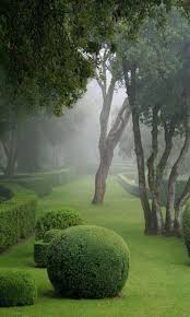 Mocno Przyciete Krzewy W Geometryczne Figury Porzadek I Organizacja To Cechuje Ogrod Formalny Fot Most Beautiful Gardens Beautiful Gardens Garden Pictures