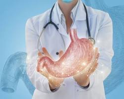 Image de Spécialité médicale en gastroentérologie