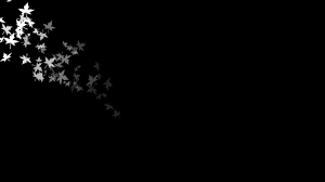 We hope you enjoy our growing collection of hd images to use as a background or home screen for your. Simple Black Wallpapers Wallpaper Cave