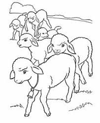 But their wool is incredibly useful, their upkeep is relatively easy and cheap, and honestly, if you haven't seen. 34 Lamb Coloring Pages Ideas Coloring Pages Lamb Coloring Pictures