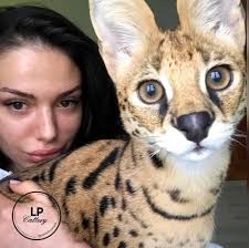 Wow ❤️ my look at the my two queens 👸 amazing 👏 😍 so beautiful becky  freen lovely little cuties 😍 ❤️ 💕