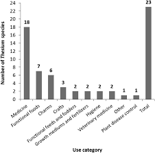 Image result for Thesium goetzeanum