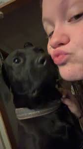 Rehoming a 7-year-old beagle named Thor