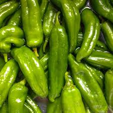 Image result for Capsicum annuum