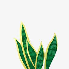 Hand Drawn Green Plant Tropical Plant Vector Illustration Png Illustration Hand Painted Green Plant Png Transparent Clipart Image And Psd File For Free Downl Plant Vector Tropical Plants Green Plants