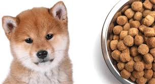 Check spelling or type a new query. Feeding A Shiba Inu Puppy When To Feed What To Feed And How Much