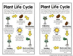 Science Posters And Anchor Charts Science Anchor Charts Anchor Charts Science