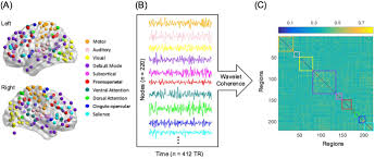 Raw aws versions of cbt501 and cov466 are available in the aws tape library. Network Changes Associated With Transdiagnostic Depressive Symptom Improvement Following Cognitive Behavioral Therapy In Mdd And Ptsd Molecular Psychiatry