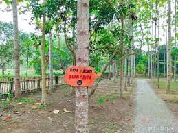 Temukan tempat wisata favorit di semarang, jawa tengah. Tempat Wisata Ciranggon Cikarang Timur Yang Paling Indah Gerai News
