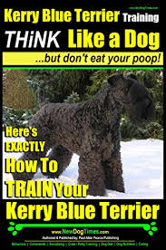 Usda licensed commercial breeders account for less than 20% of all breeders in the country. Kerry Blue Terrier Training Think Like A Dog But Don T Eat Your Poop Here S Exactly How To Train Your Kerry Blue Terrier Ebook Pearce Kerry Blue Terrier Puppy Training Paul