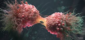 Artstation Cancer Cell Division Farid Ghanbari Cancer Cell Cell Division Microscopic Photography