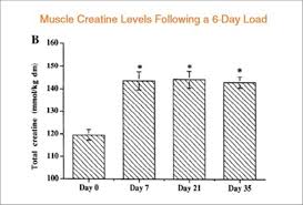 10 Graphs That Show The Immense Power Of Creatine
