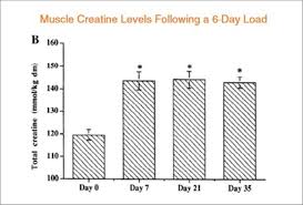 10 graphs that show the immense power of creatine