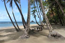 We did not find results for: Die Strande Dominica