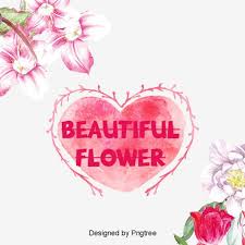 花 俱樂部 椰子 花素材 psd格式圖案和png圖片免費下載 beautiful flower designs beautiful flowers flower designs