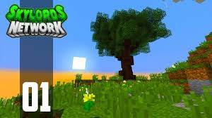 You will need to make cobble generators and infinite water to get started right. Top 10 Minecraft Skyblock Servers 2021 The L33t
