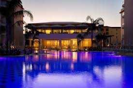 Image result for Vangueria domatiosa