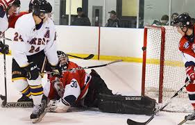 Lakers lose leading scorer for the season