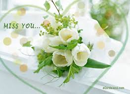Maybe you would like to learn more about one of these? Miss You Ecards Free Greeting Ecards Free