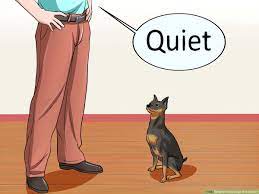 4 Ways To Train Dogs Not To Bark Wikihow Pet