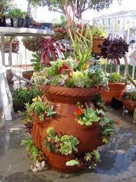 Plants And Things Flower Pots Outdoor Garden Pots Diy Fairy Garden Flower Pot