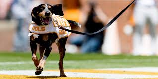 Tennessee volunteers football mascot design. Tennessee Vols Smokey Named One Of College Sports Best Mascots