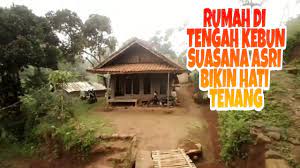 Jika memiliki taman yang luas, tidak ada salahnya melengkapi taman dengan rumah kebun. Rumah Di Tengah Kebun Suasana Asri Bikin Hati Tenang Part 1 Youtube