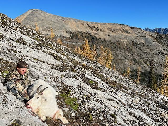 Goat – Elk Valley Bighorn Outfitters