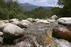 Corsica Fleuves Et Rivieres Le Cruzzini Ou Cruzini Est Une Riviere De La Corse Du Sud Et Conflue En Rive Gauche Dans Le Fleuv Corsica Corse Du Sud Fleuve
