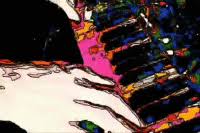Things to watch while your high af or just cause you like trippy videosi do not own any of the music in this video song: Best Trippy Wallpaper Gifs Gfycat