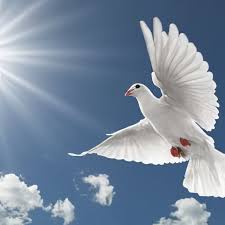 Rhonda Marie Henderson Thrasher Obituary