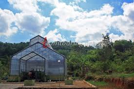 Maybe you would like to learn more about one of these? Kebun Buah Mangunan Daya Tarik Agrowisata Dan Pemandangan Alam Di Bantul Teamtouring
