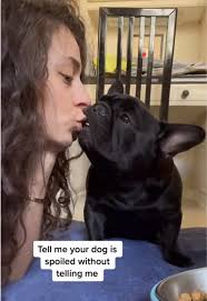 Baby Bird Your Dog? Exploring Frenchie Fun