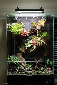 Flickr Plant Decor Indoor Terrarium Plants Plant Decor