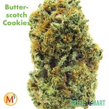 Marijuana zen leaf cookie cutter set, 3 piece, stainless steel. Butterscotch Cookies Green Mart Beaverton