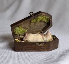 Reality Fragments Etsyifyourenasty Mouse Funeral Pet Cemetery Lovely Creatures Pet Rats