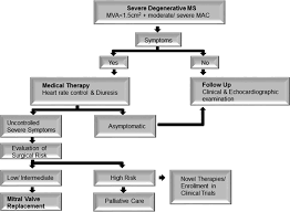 Mitral stenosis is a disorder in which the mitral valve does not fully open. Degenerative Mitral Stenosis Circulation